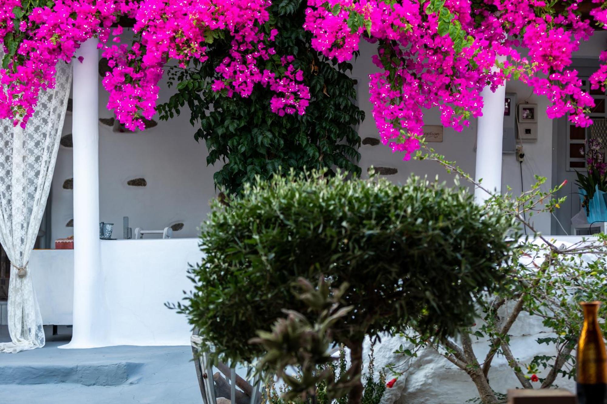 Sunrock Suites Stelida  Exterior photo